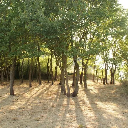 Vandrarhem El Castell